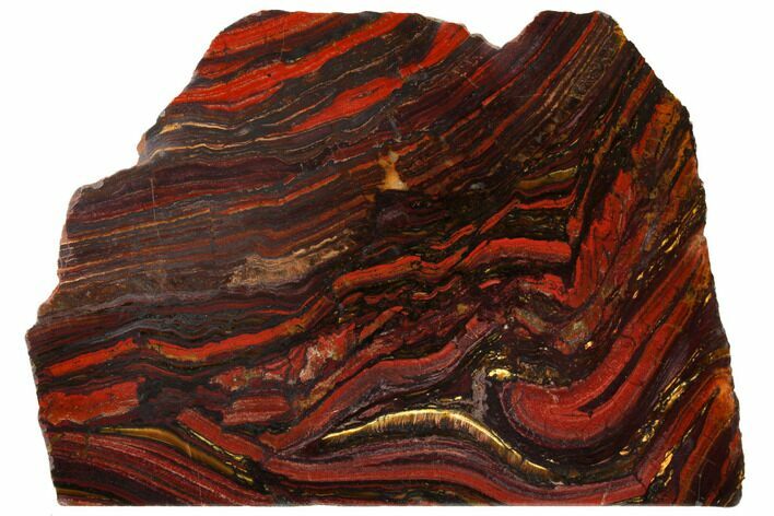 Polished Tiger Iron Stromatolite - Billion Years #129317